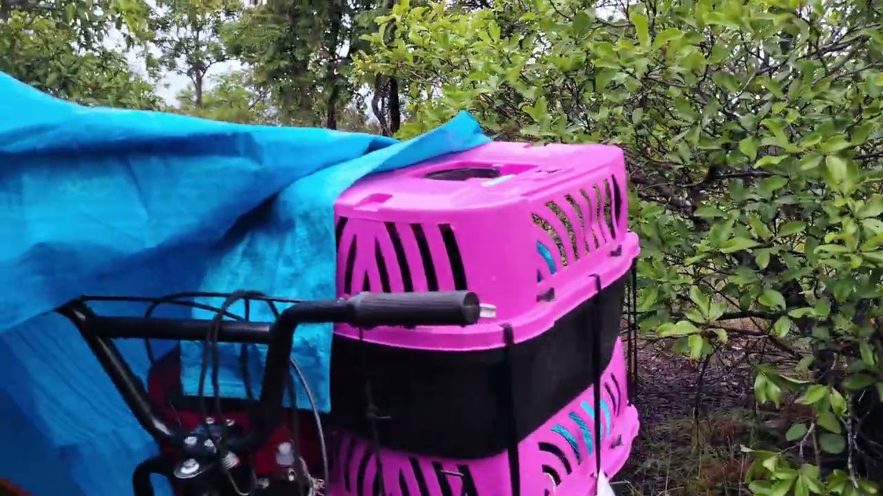Acampamento com muita chuva # 29