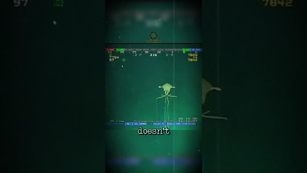 Real Alien Found in Gulf of Mexico? 🦑🛸 