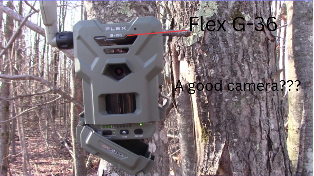 Spypoint Flex G 36 Review (Unboxing & Setup)