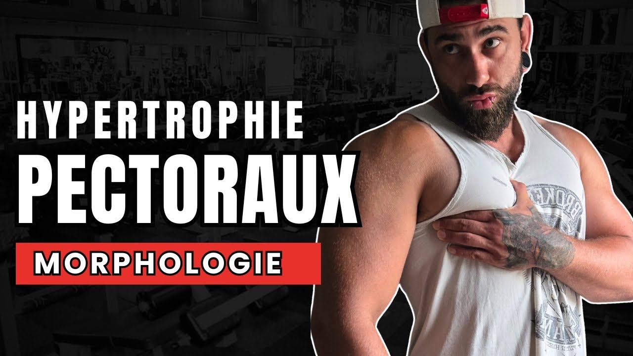 Morpho-anatomie I comment qui sont fait mes pecs?