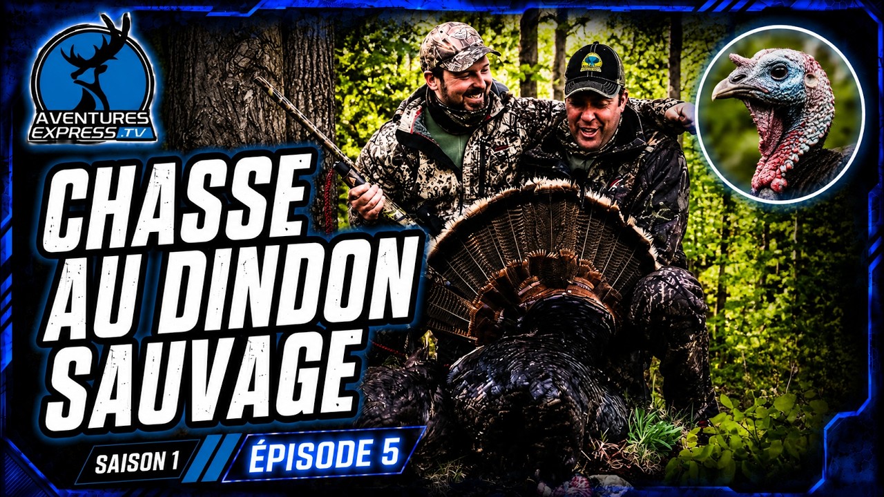 La chasse au dindon sauvage