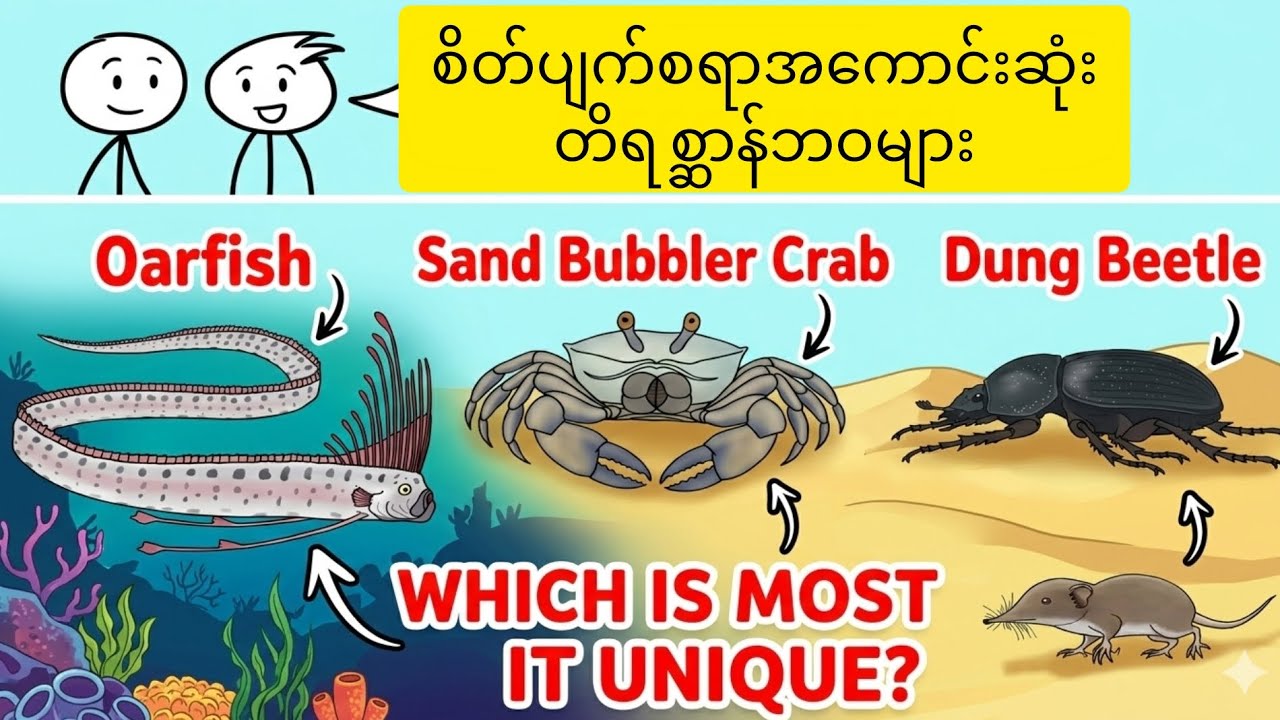 စိတ်ပျက်စရာအကောင်းဆုံးတိရစ္ဆာန်ဘဝများ
