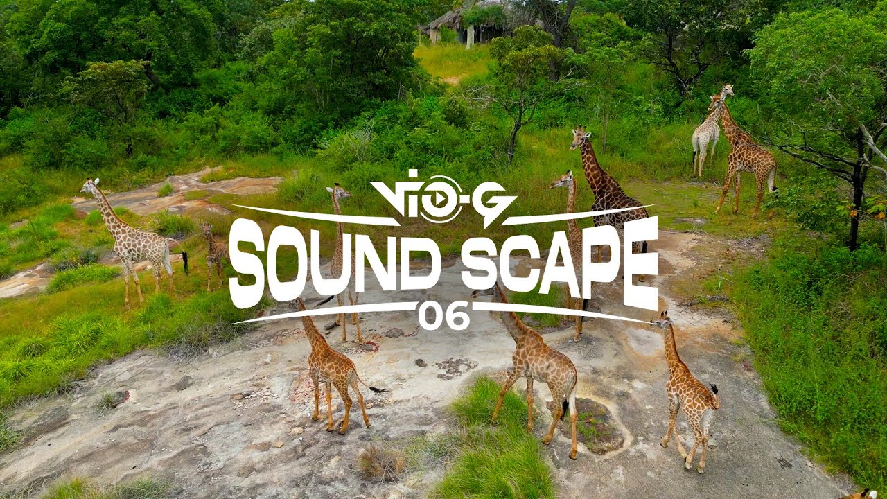 Dj VIO-G Sound Scape 6 - Manica- Msika Lodge (Afrotech & Afrohouse)