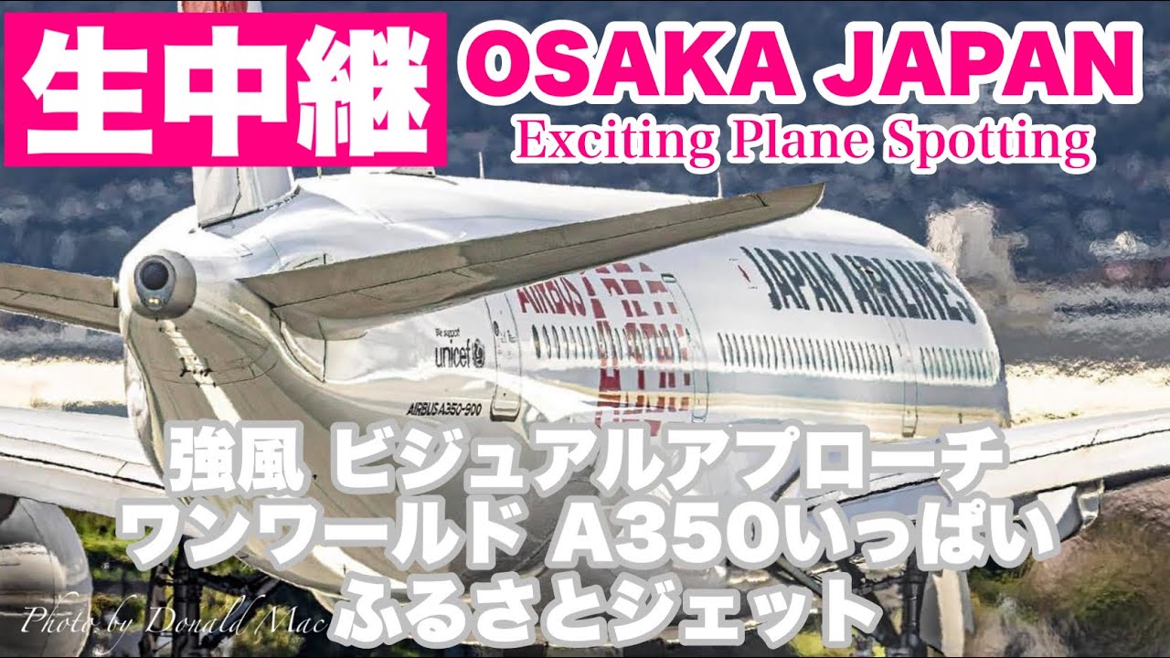 🔴 LIVE OSAKA ITAMI Airport 2026/3/1 大阪伊丹空港   ライブカメラ