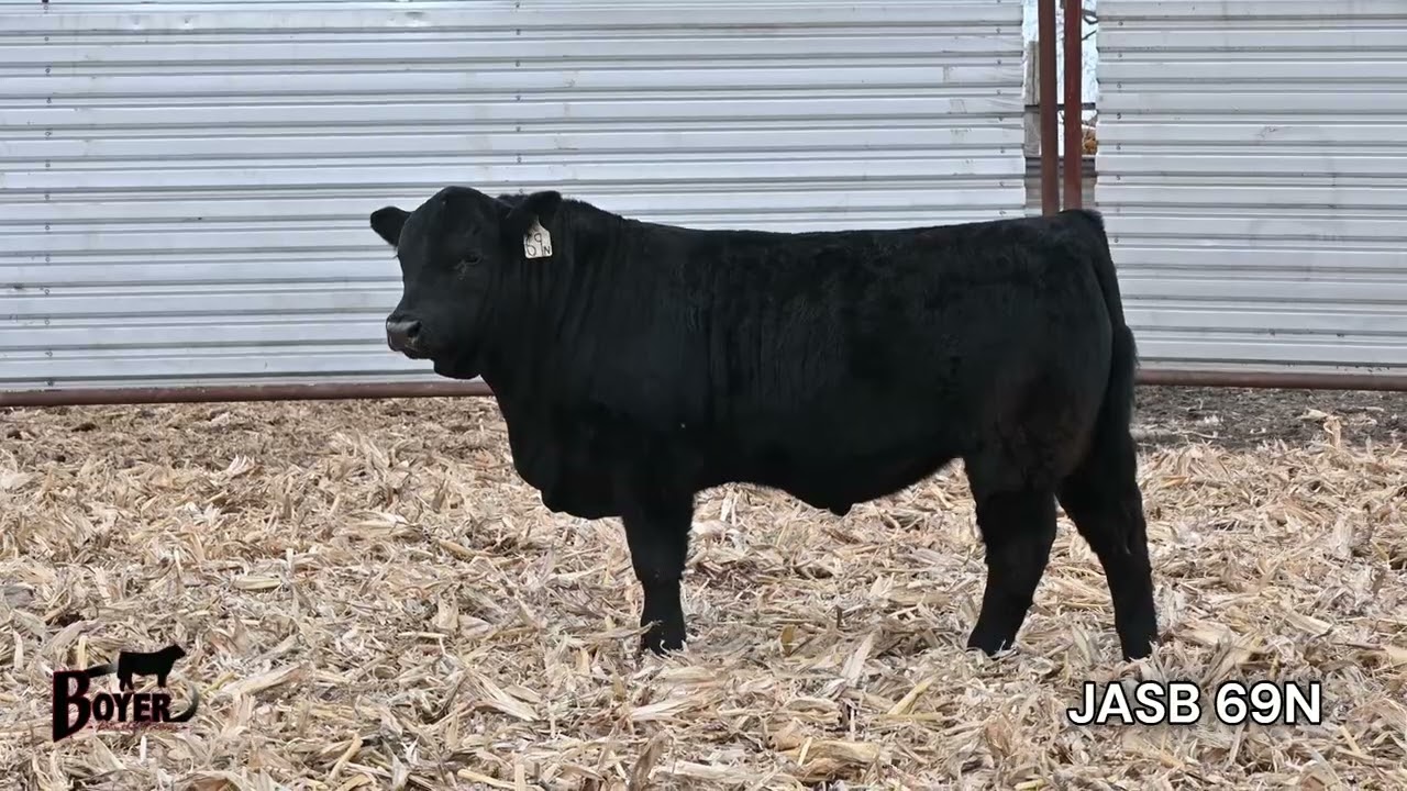 JASB 69N