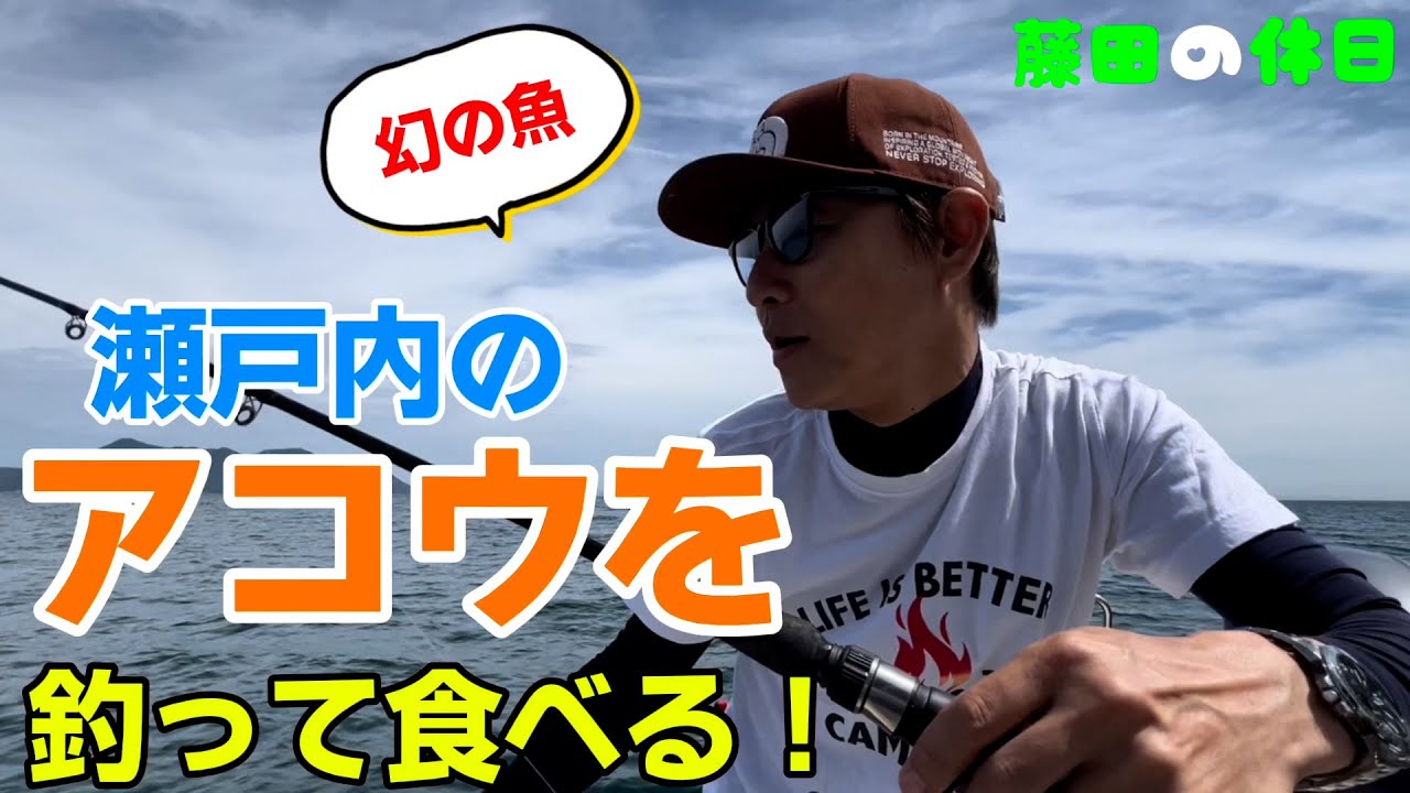 【釣り】瀬戸内のアコウを釣って食べる【グルメ】