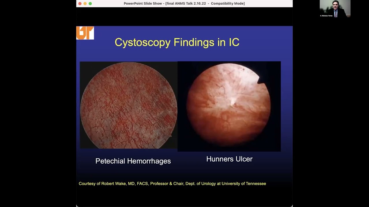Abdominal Pain: The role of visceral organ cross talk