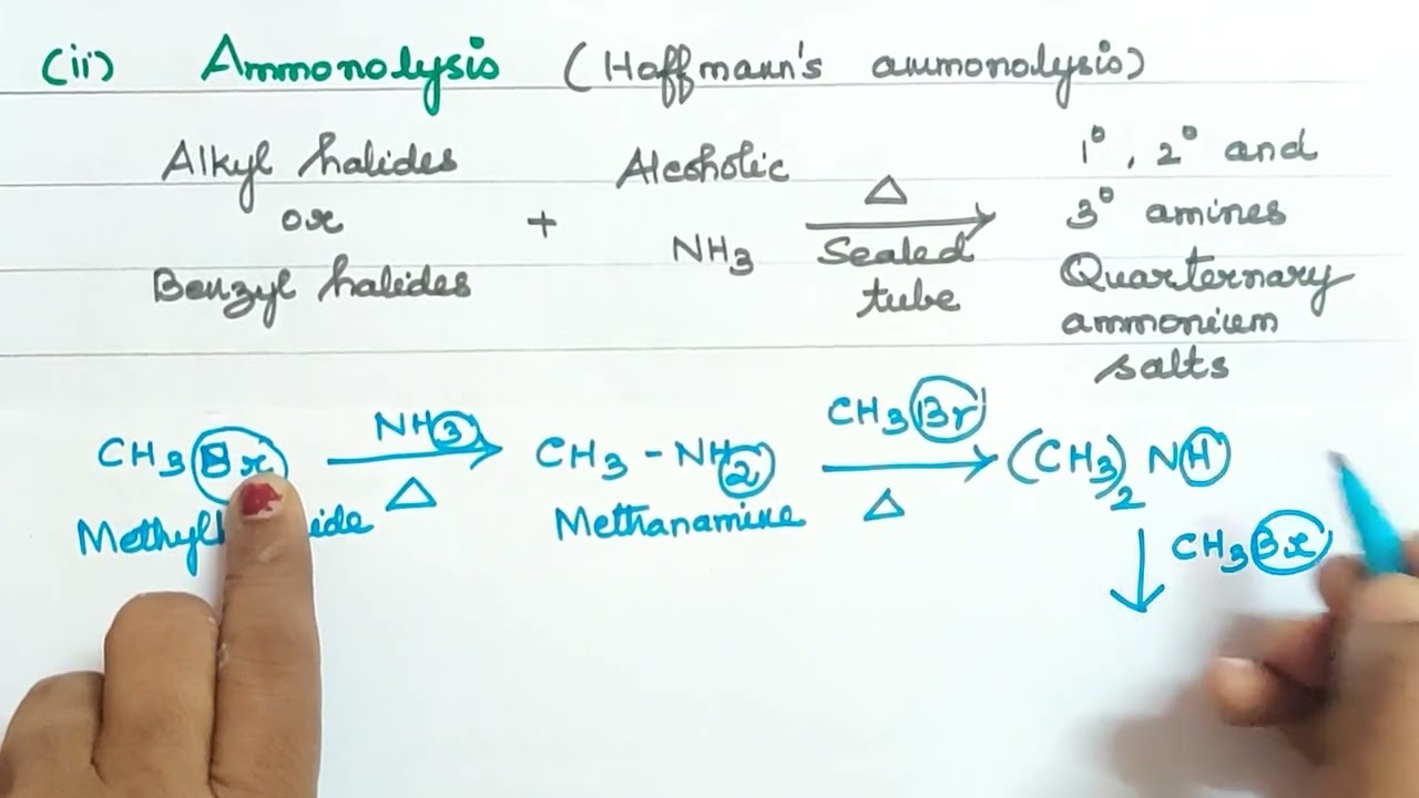 Book Exercise 6(ii)/Ammonolysis/Explanation in Tamil/Organic Nitrogen Compounds