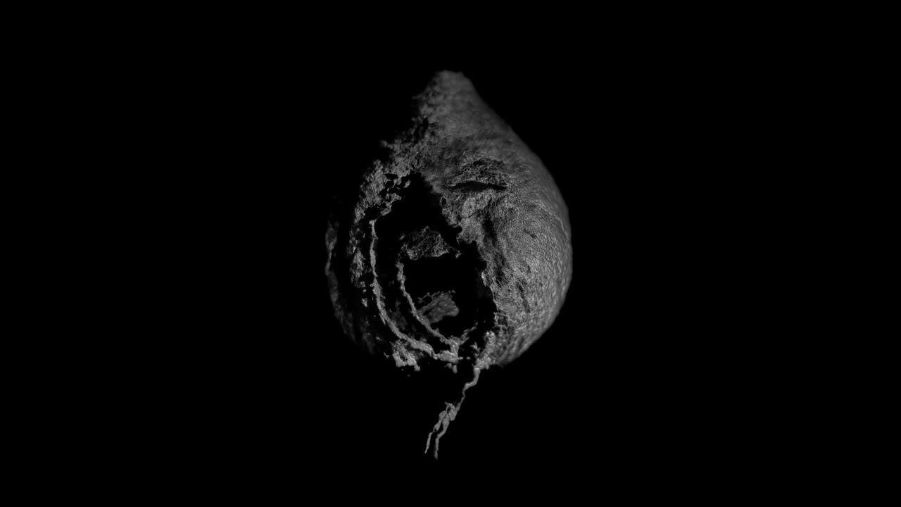 Francesco Fabris & Ava Grayson - PETRA