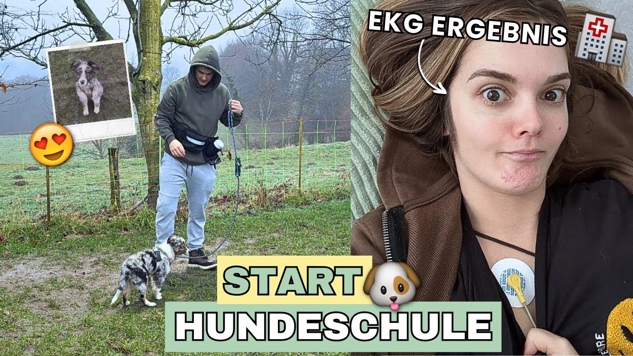 HUNDESCHULE geht los! 😍🐶 Vici's EKG Ergebnis 🩺| Hans&Wika