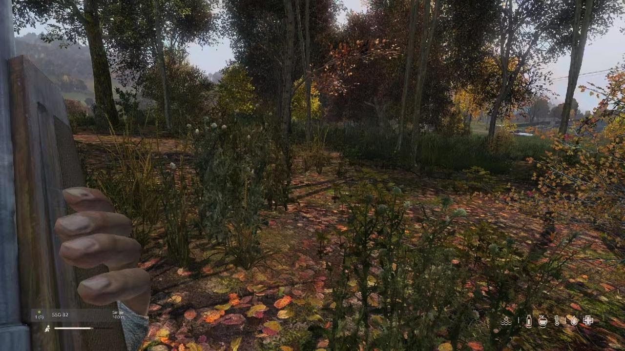 Arriving on time to the party😉DayZ PS5