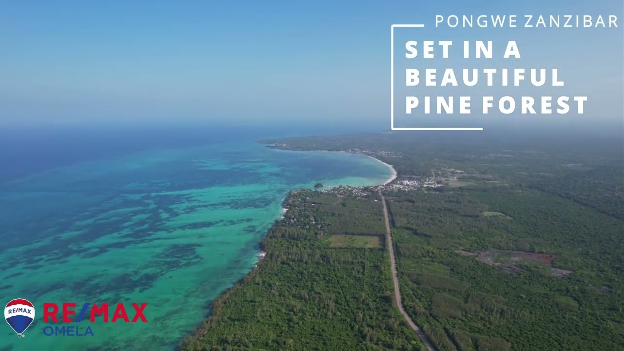 Beach plot, Pongwe, Zanzibar