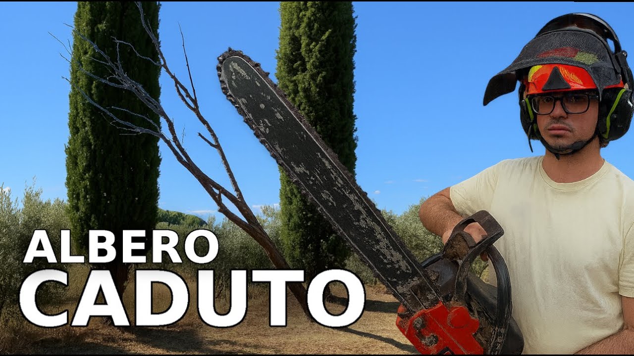 ALBERO CADUTO va RIMOSSO: Ecco come ho fatto!!