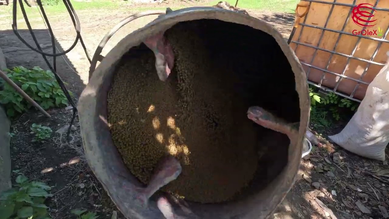 Початок посіву Сої. Соя сорту 