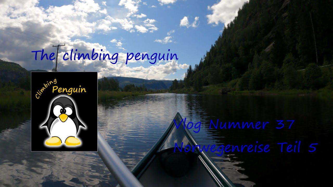 Penguins Vlog 37 Norwegenreise Teil 5: Walsafari, Flatanger, Romsdal, Trollstigen, Setesdal