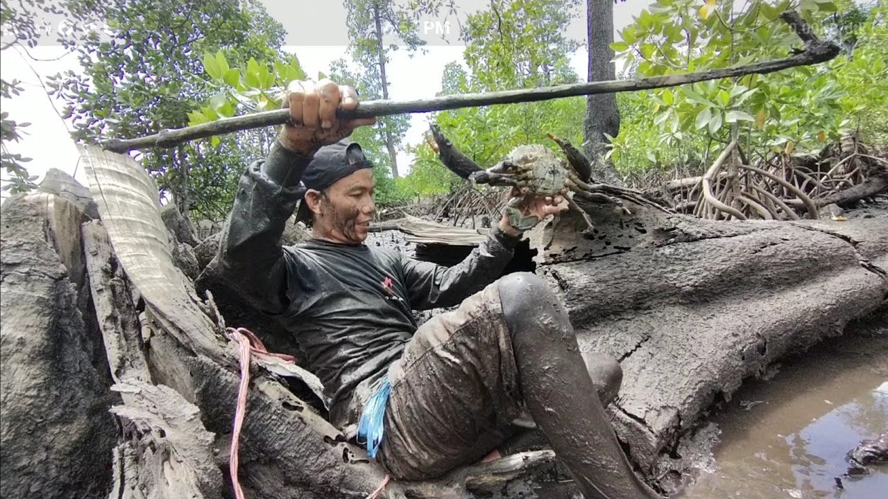 Tetap semangat BERBURU KEPITING dan begini cara MENANGKAP KEPITING RAKSASA | Bungga Londa.