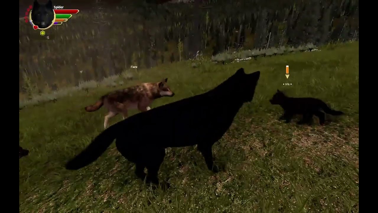 The disaster | Wolfquest: Outlook pack (Ep 13)