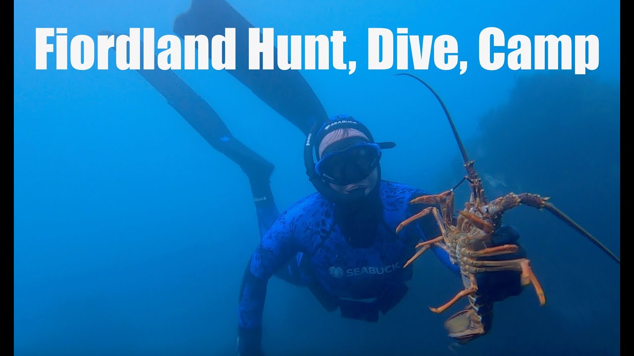 Fiordland Hunt, Dive, Camp