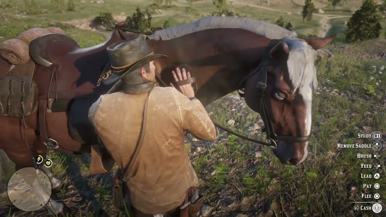 Red Dead Redemption 2