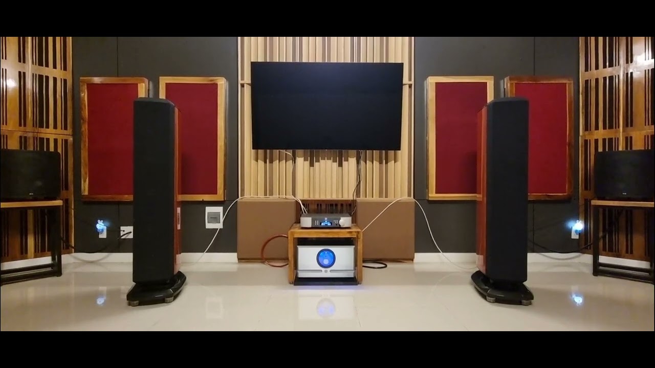 Let the music flow - Revel Salon 2 and Pass Labs X350.8