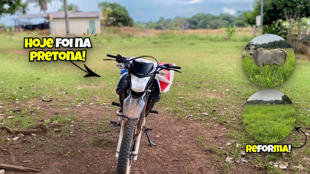 HOJE AS ÉGUAS FICARAM DE FOLGA, LEVAMOS O SAL NA MOTO | REFORMA DO PIQUETE.