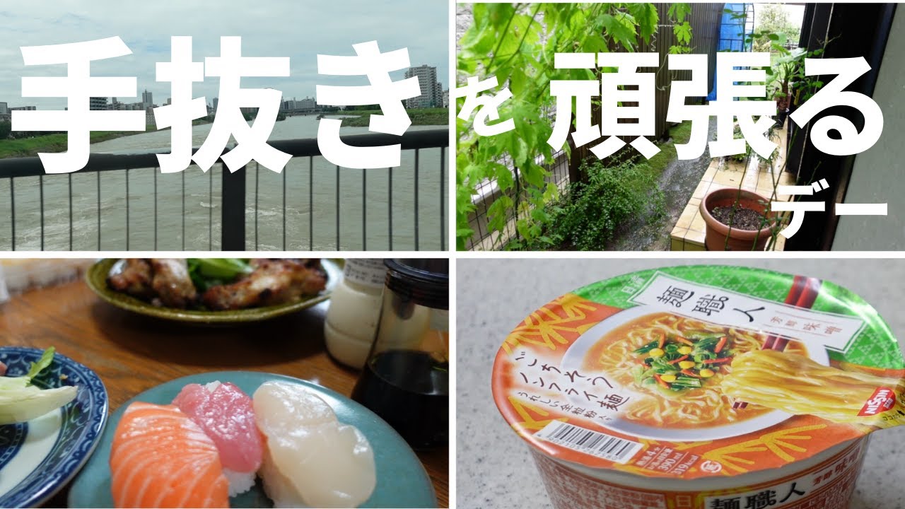 【シニアVlog】雨が降ったお盆に手抜きをしていた3日間