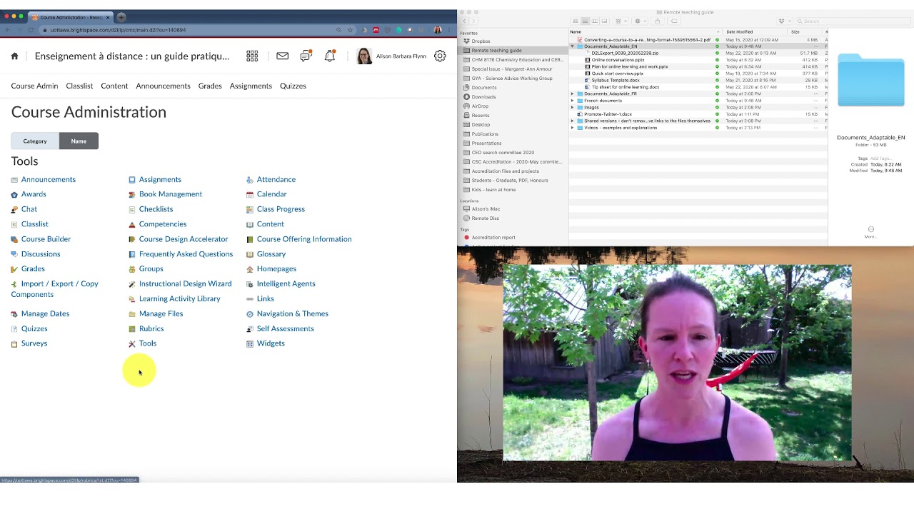 Explanation - How to import course components into Brightspace