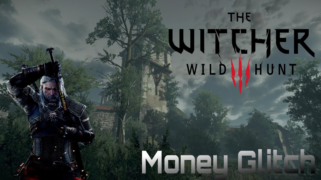 The Witcher 3 Wild Hunt Money Glitch 20000 40 Minutes Past 1 