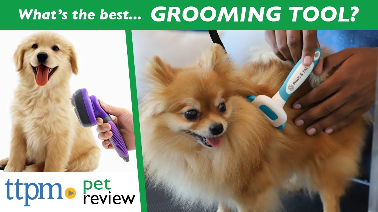Deshedding Grooming Tools | What's the Best Grooming Tool for your Pet? | (We Tested Them All)