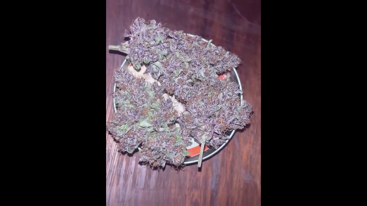 Lemon Cherry Cookies Auto | Fast Buds by JoExotic