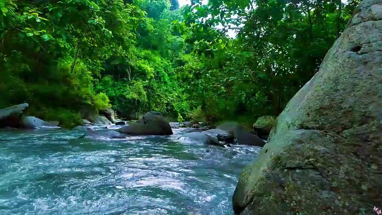 River Flowing Sounds 24/7 🌿 Nature Sounds - White Noise - for Deep Sleep and Relax