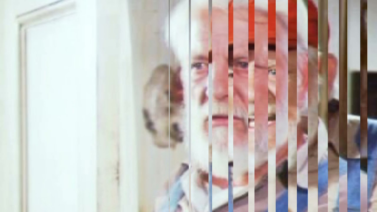 Denver Pyle - Jesse Duke