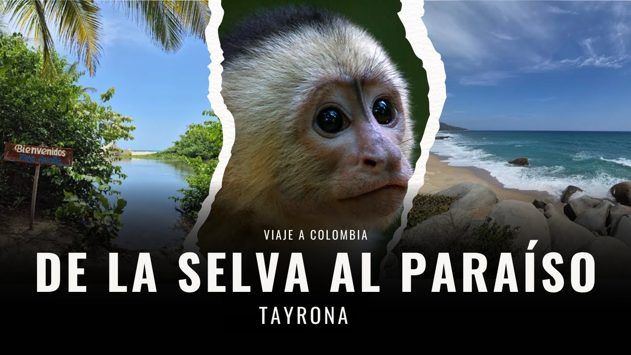 Caminamos por la SELVA para encontrar ESTO 🌴 (Parque Tayrona)