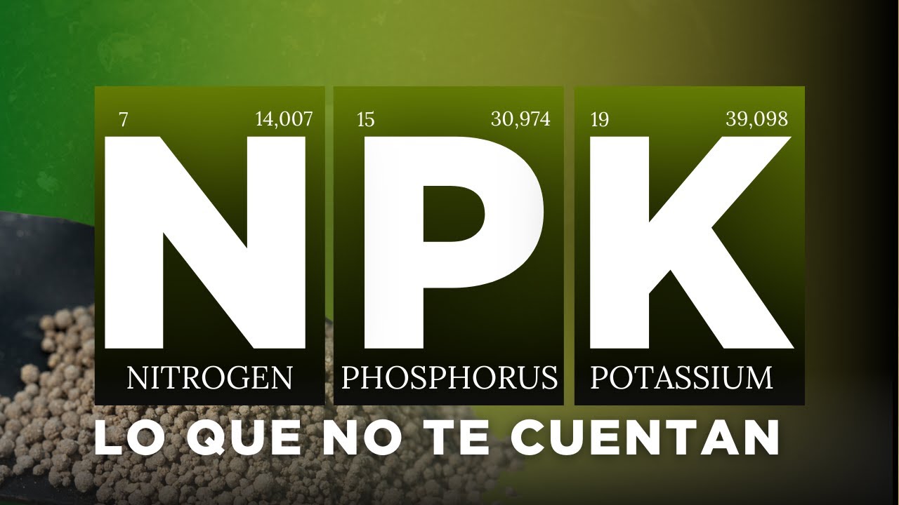 La verdad sobre el NPK ¿es suficiente para tus cultivos?