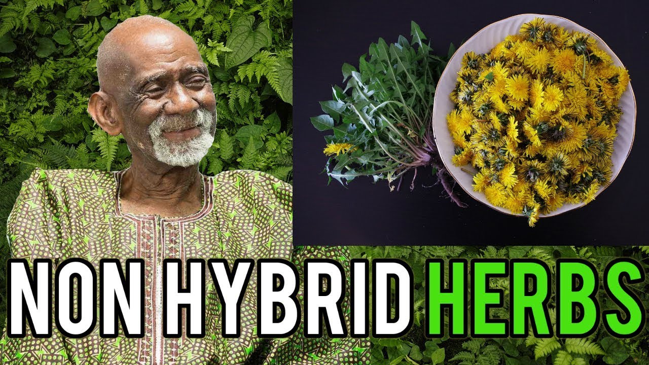 Dr Sebi Reveals Best Alkaline Herbs To Eat