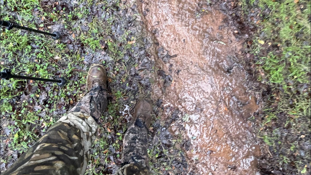 Northern California Public Land Pig Hunt hit or miss 01-01-2026
