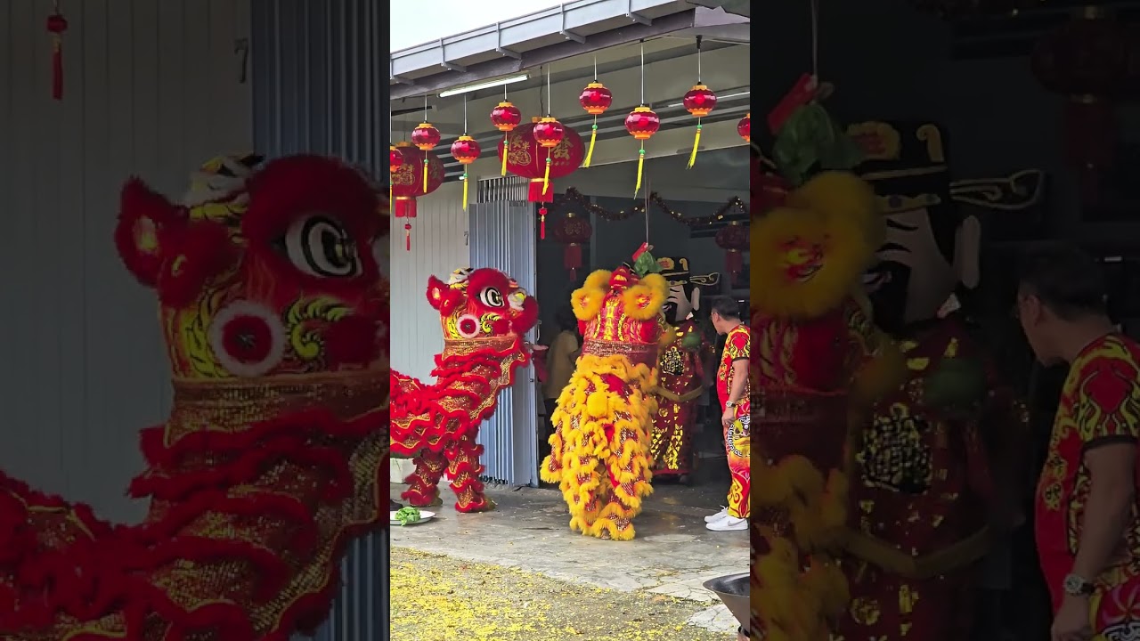 Lion Dance Sg Muntoh