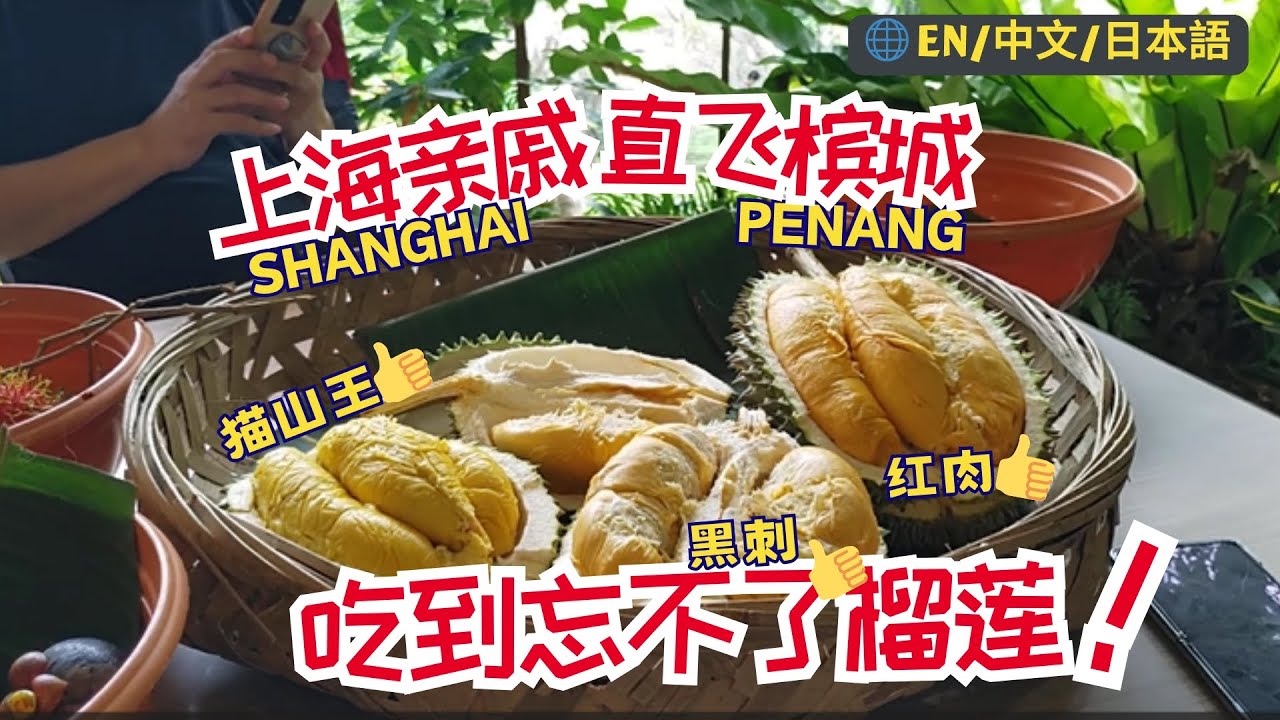 46. 上海亲戚直飞来槟城！一起去浮罗山背吃老树榴莲去！惊叹吃到忘不了榴莲！#malaysia #penang #shanghai #槟城 #马来西亚 #榴莲 #海外生活 #mm2h #猫山王榴莲