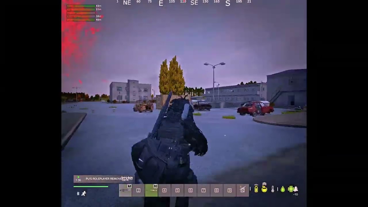 1SK Dayz Montage.... FREE FTM.........