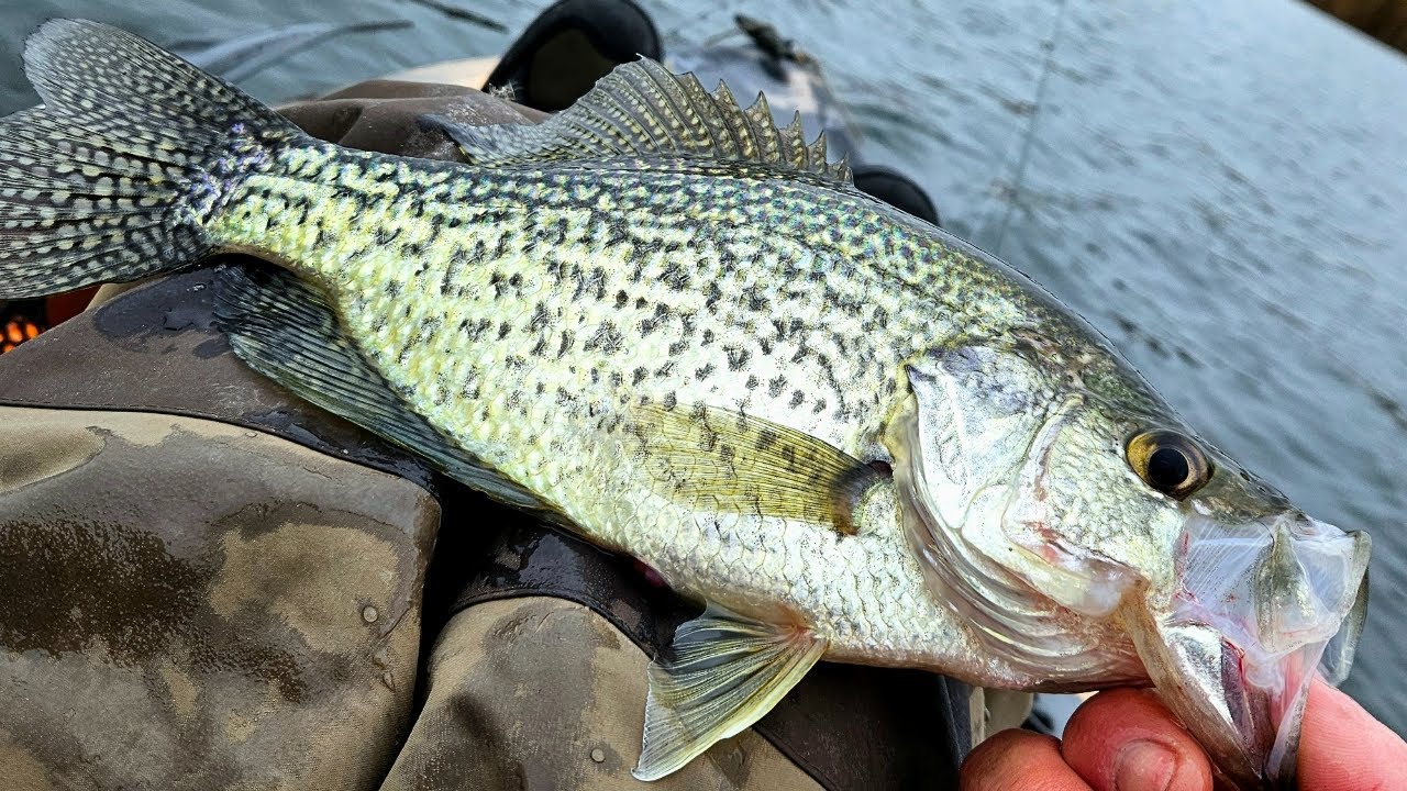 Рыбалка с каяка поздней осенью под метеорным потоком Ориониды #kayakfishing #fyp