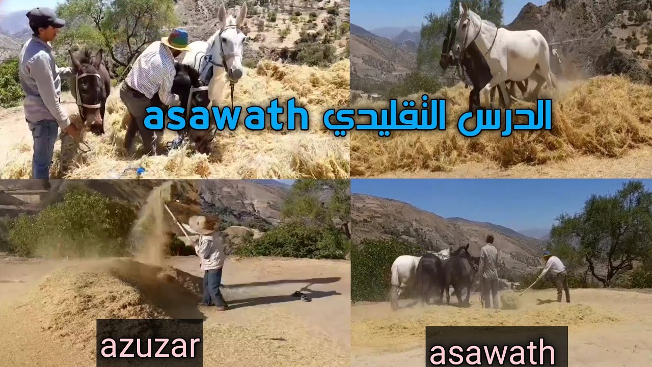 عملية الدرس التقليدي بالريف asawath imandi