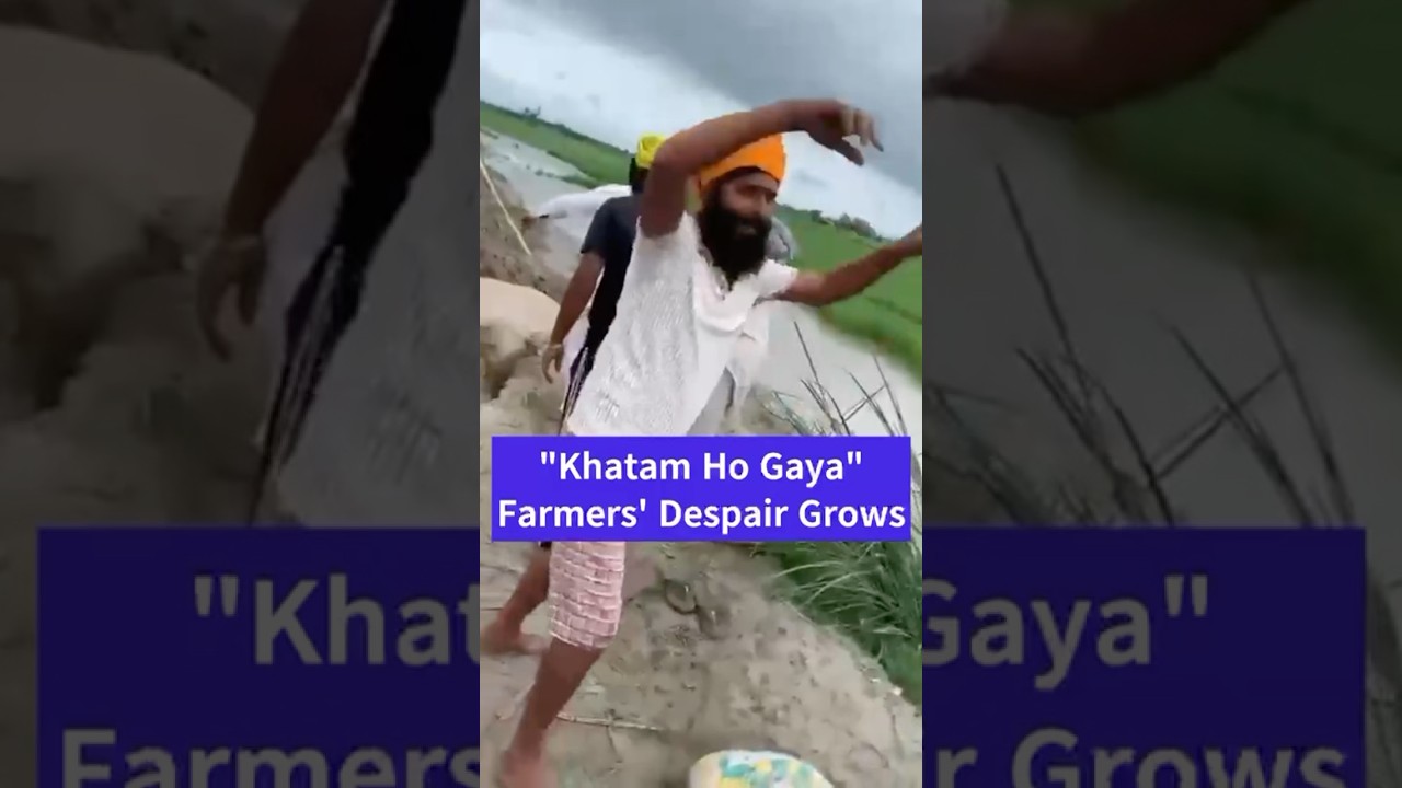 Heart wrenching Videos Farmers In Punjab Struggling In Rain | #punjab #viralvideo #shorts #farmer
