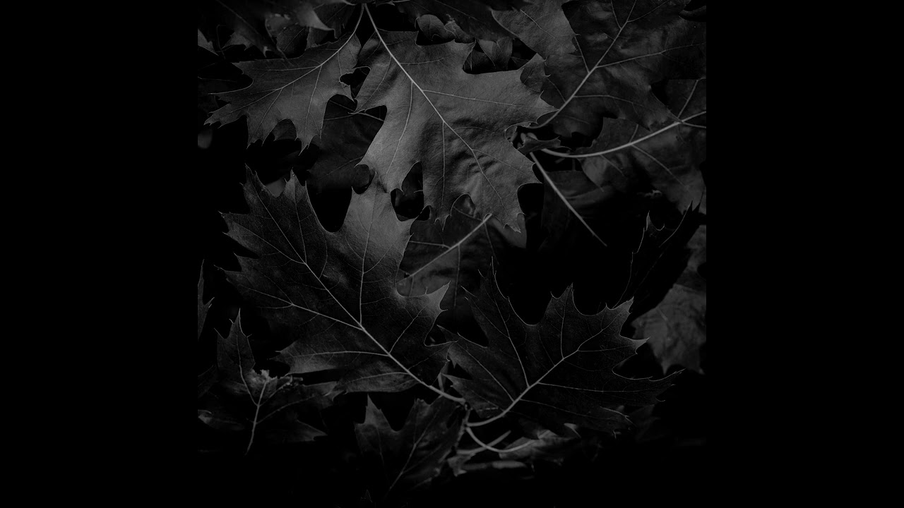 Lonely Flow Crew -  Black Leaves