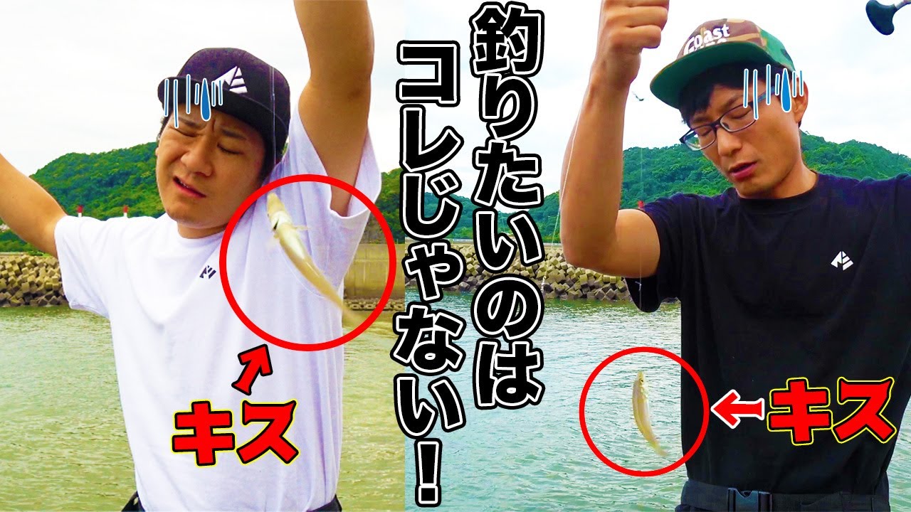 キス大漁！！でも釣りたいのはこの魚じゃない！？