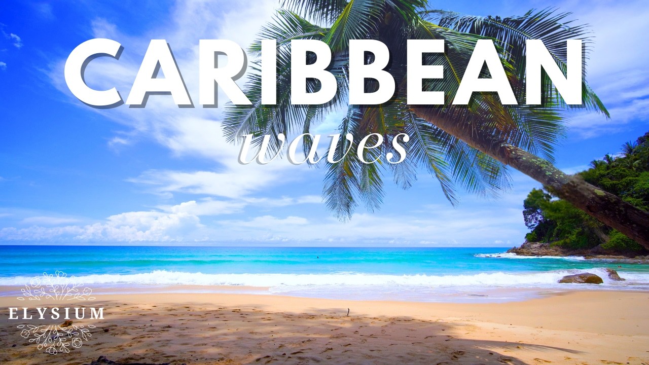 Relaxing Caribbean Beach | Ocean Waves & Swaying Palm Tree | 4K Sleep & Study Sounds