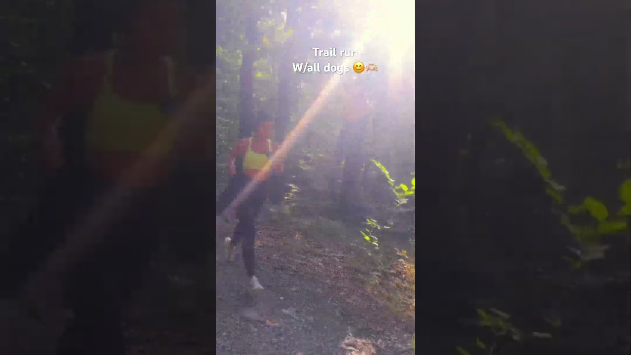 Trail run w/all dogs😊 can we say mother of all dogs in 🌎 #trailrun #dogs #ceydacelikel #fypシ゚viral