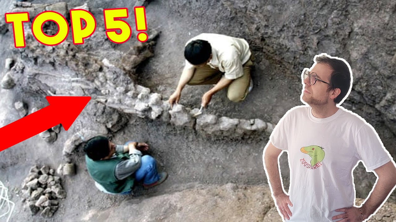 5 Fossili che hanno CAMBIATO LA STORIA