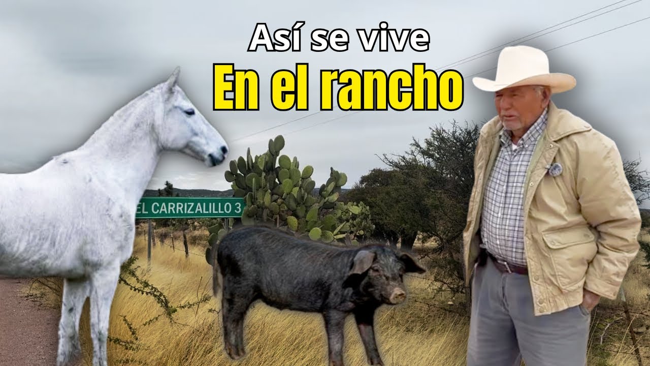 A mis 82 años vivo del campo y de mis animalitos