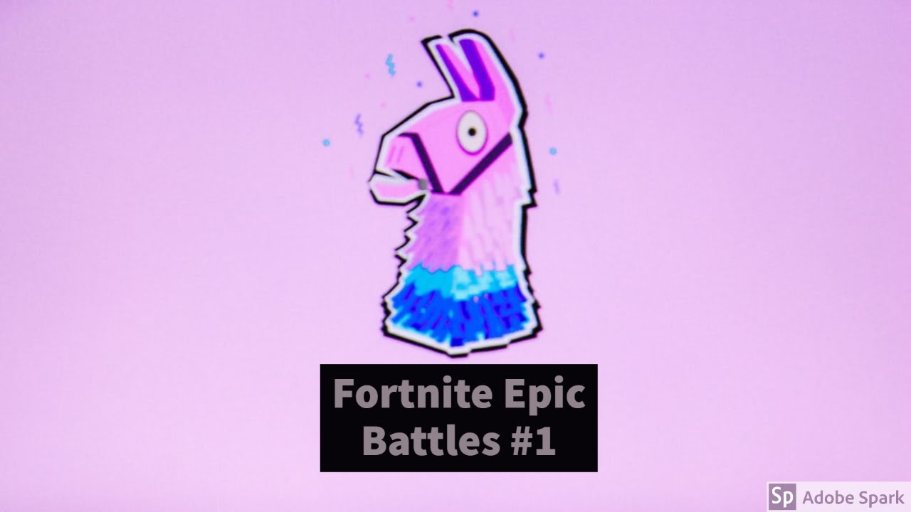 Fortnite Epic Battles #1