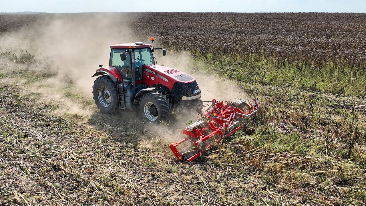 Case IH + Güttler MasterCut 600 vágóhenger ｜ Napraforgó szár aprítás